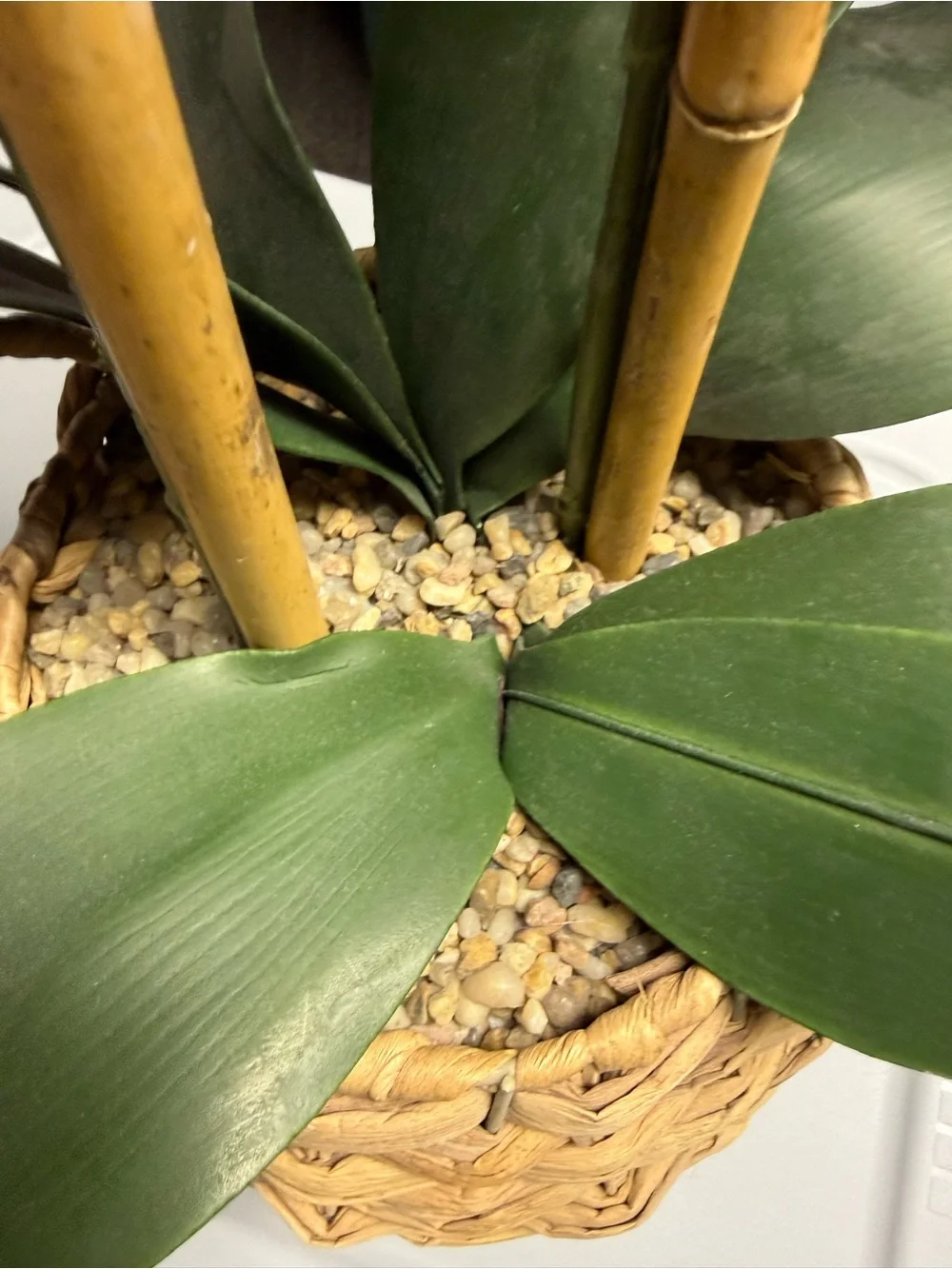 Beautiful faux orchid plant